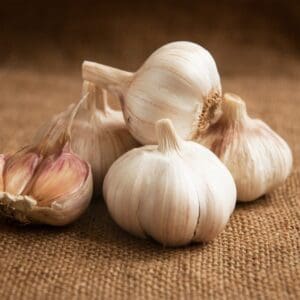 GARLIC BULBS