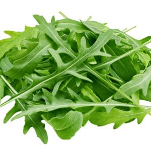 LETTUCE ROCKET
