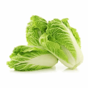 CABBAGE WOMBOK LARGE